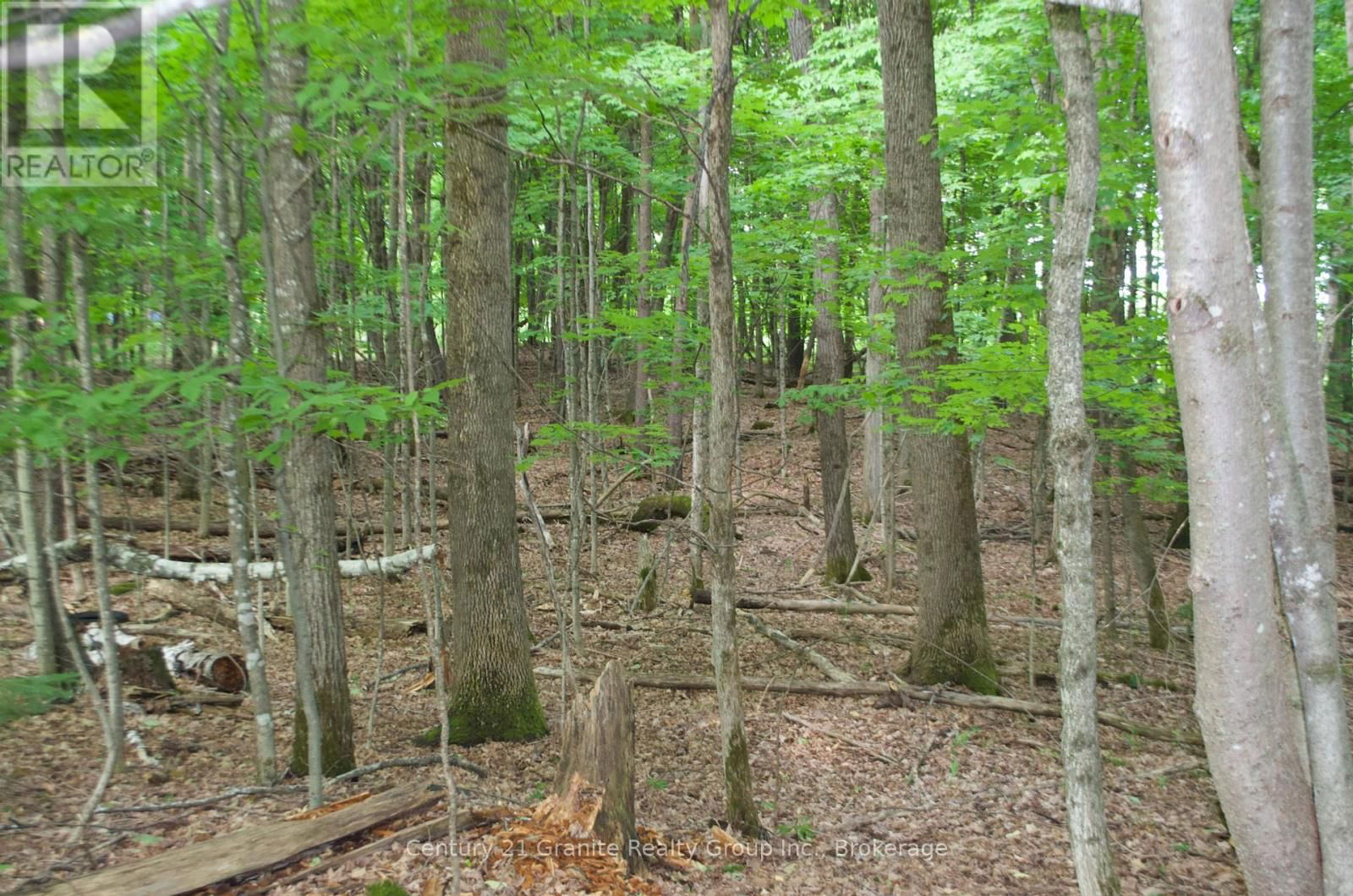 Lot 7 RIDGEVIEW ROAD Image 3