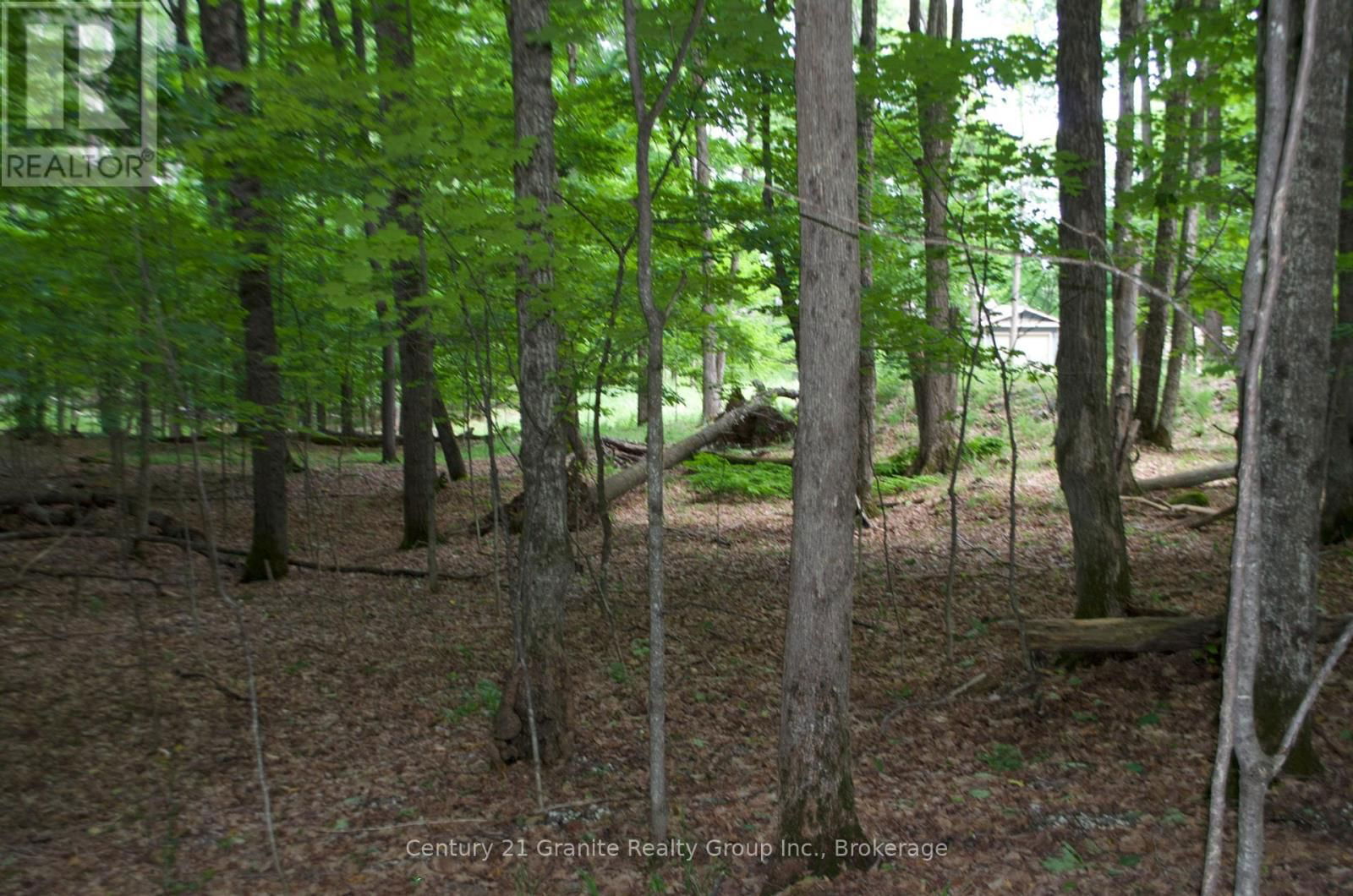 Lot 7 RIDGEVIEW ROAD Image 4