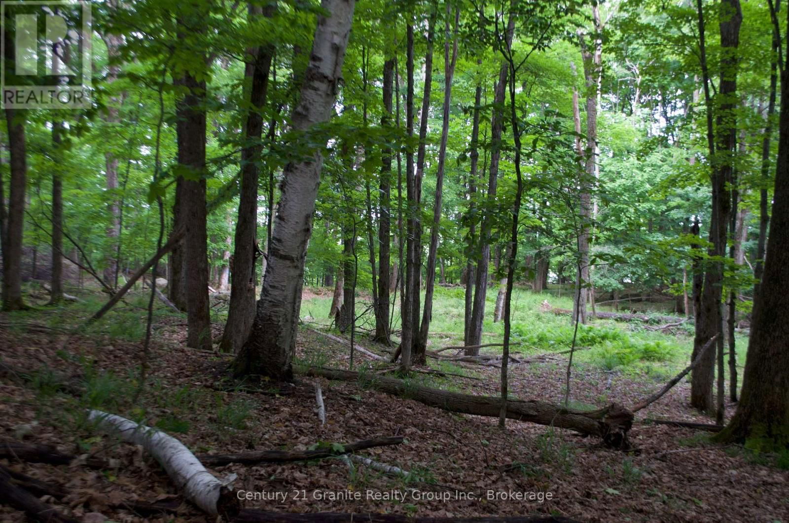 Lot 7 RIDGEVIEW ROAD Image 5