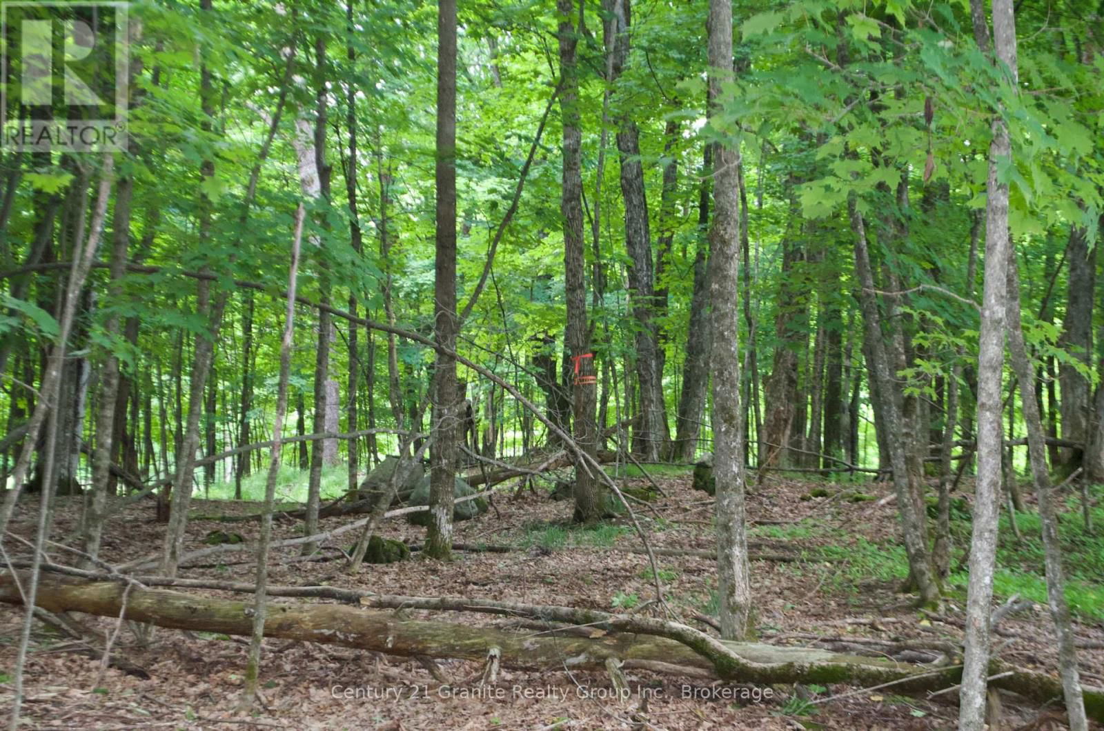 Lot 7 RIDGEVIEW ROAD Image 6