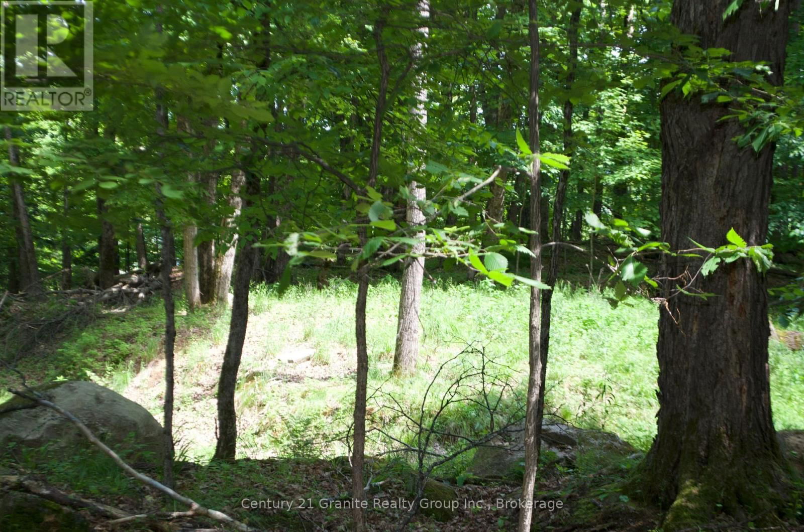 Lot 7 RIDGEVIEW ROAD Image 7