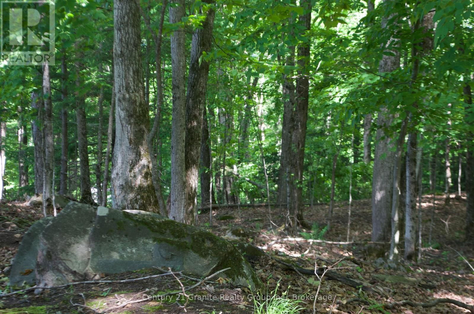 Lot 7 RIDGEVIEW ROAD Image 8