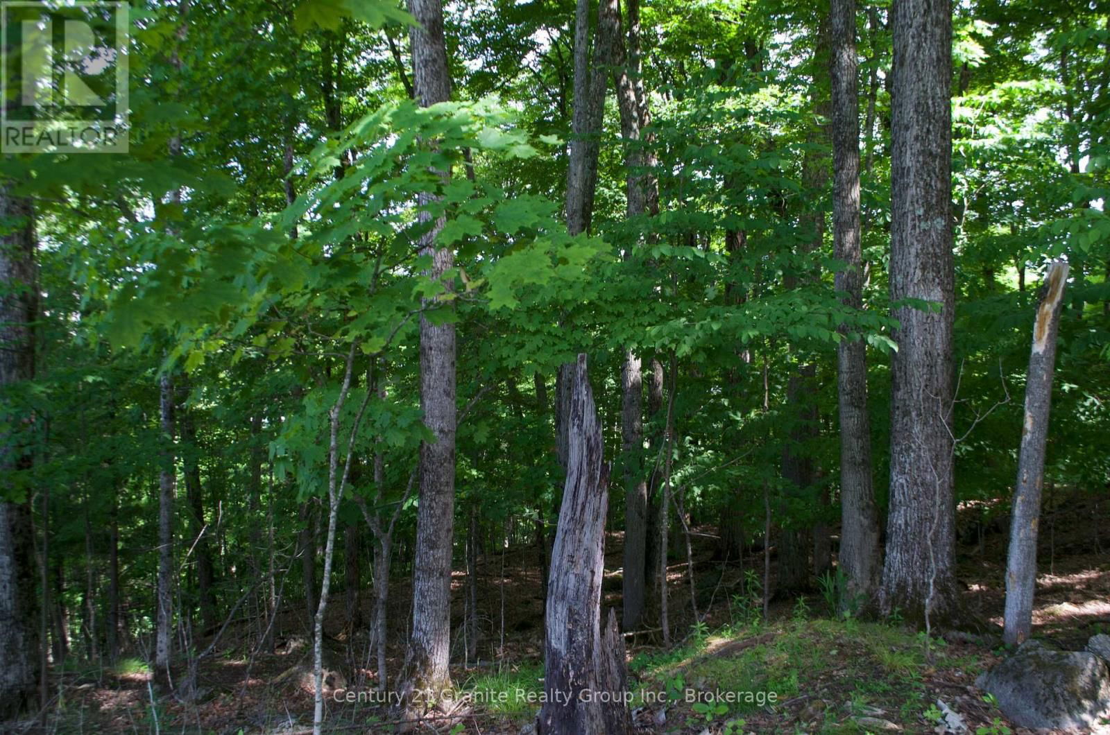 Lot 7 RIDGEVIEW ROAD Image 9