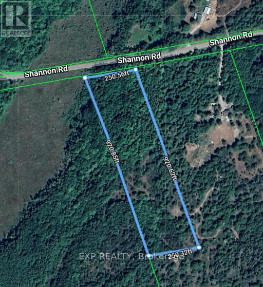 2822 SHANNON ROAD Image 1