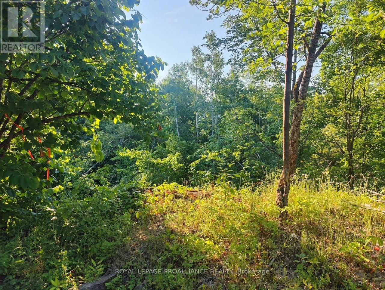 621A COOK ROAD Image 8