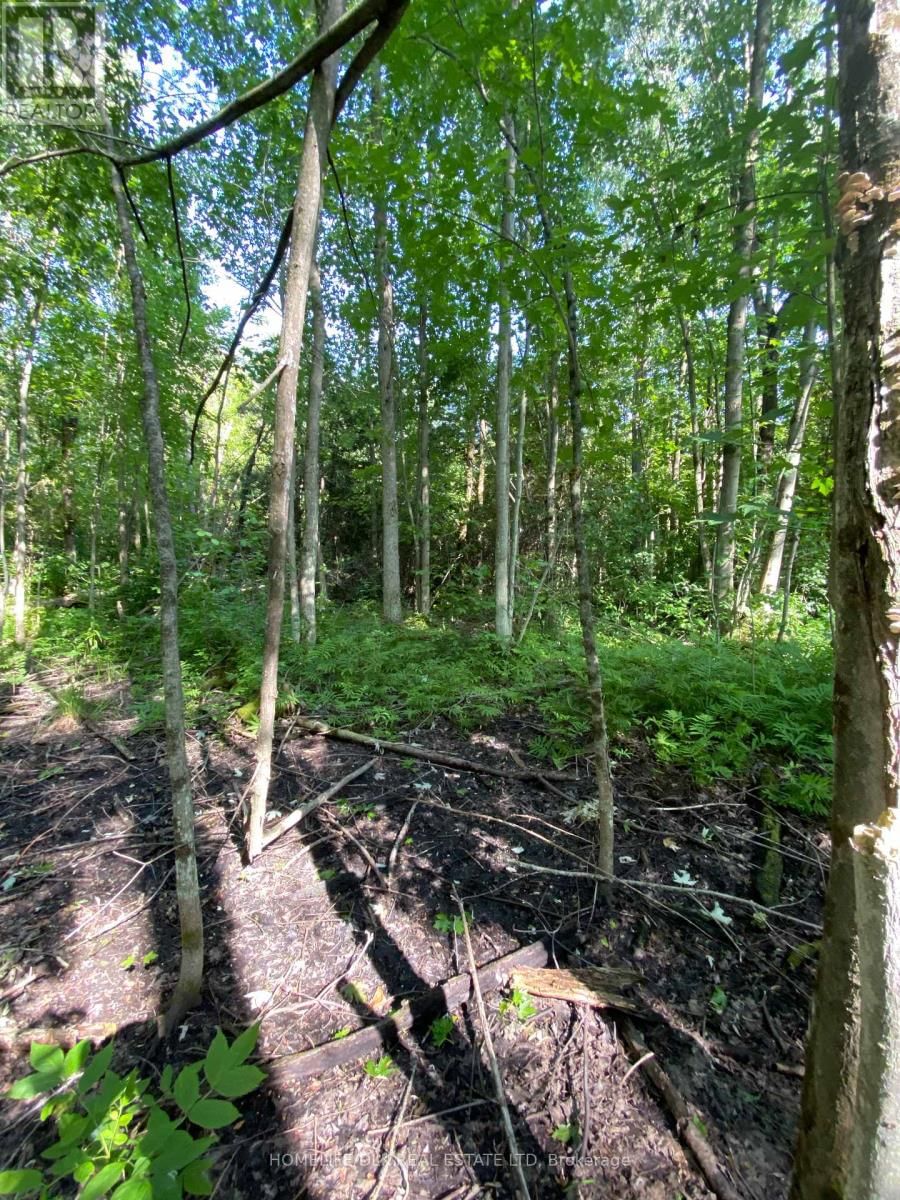 00 GROVETON ROAD SOUTH Image 10