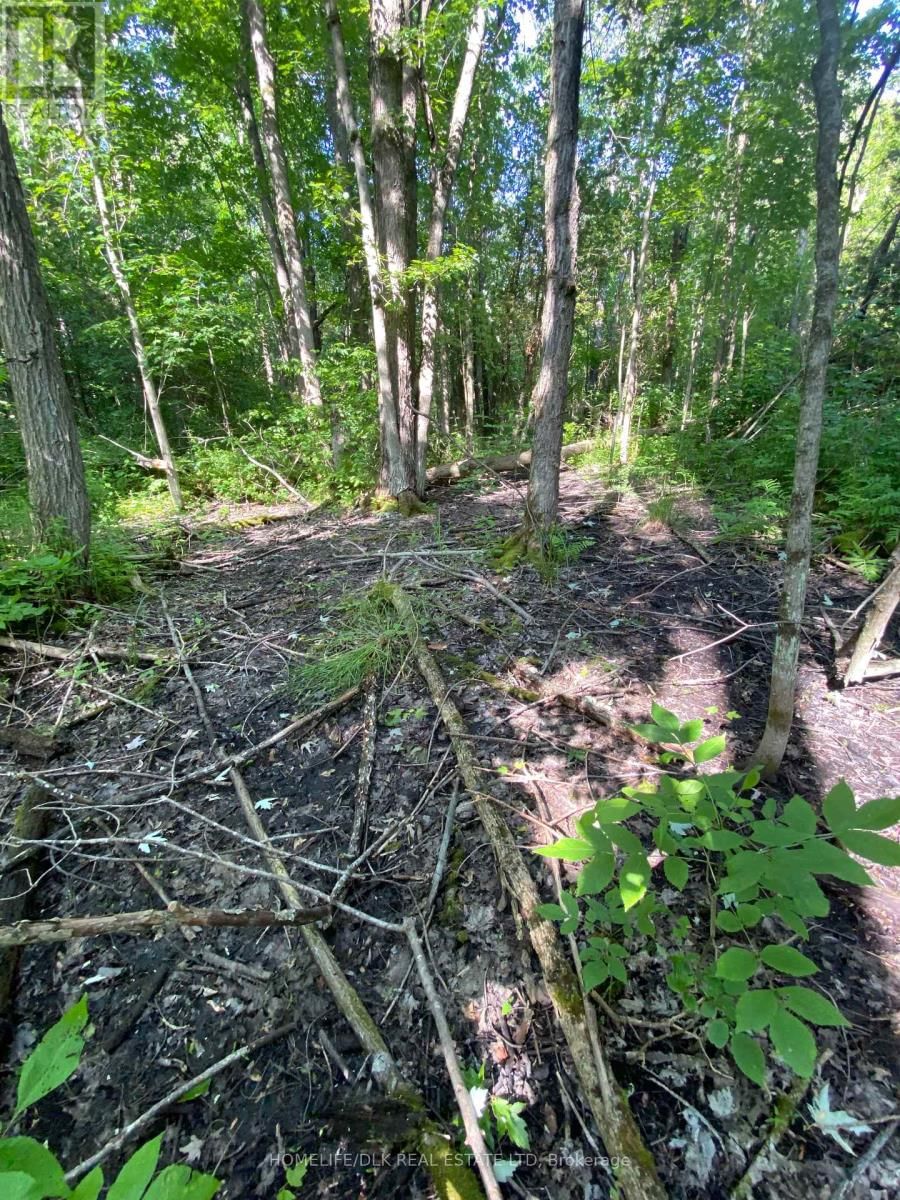 00 GROVETON ROAD SOUTH Image 11