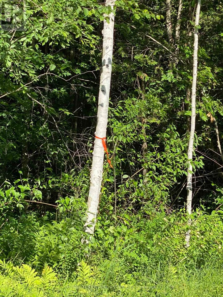 00 GROVETON ROAD SOUTH Image 14