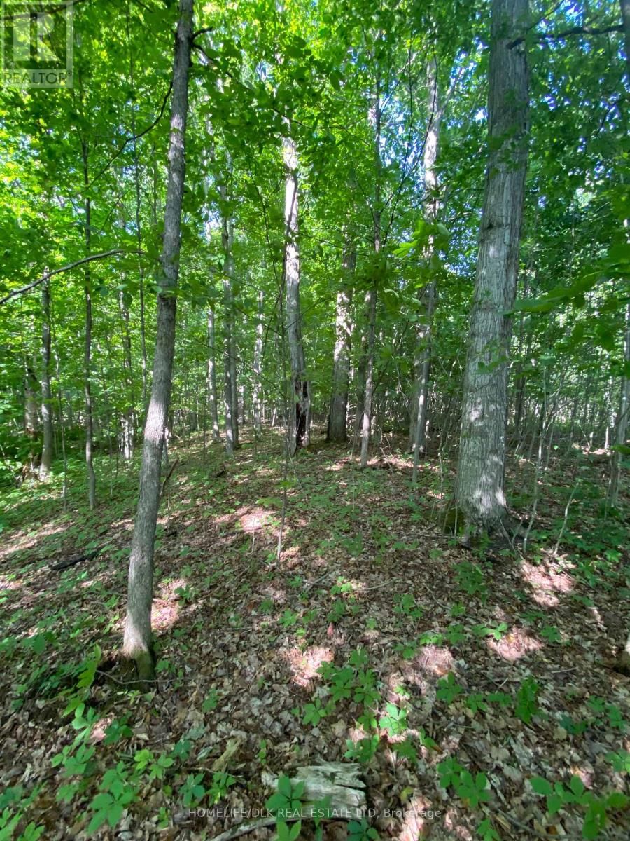 00 GROVETON ROAD SOUTH Image 16