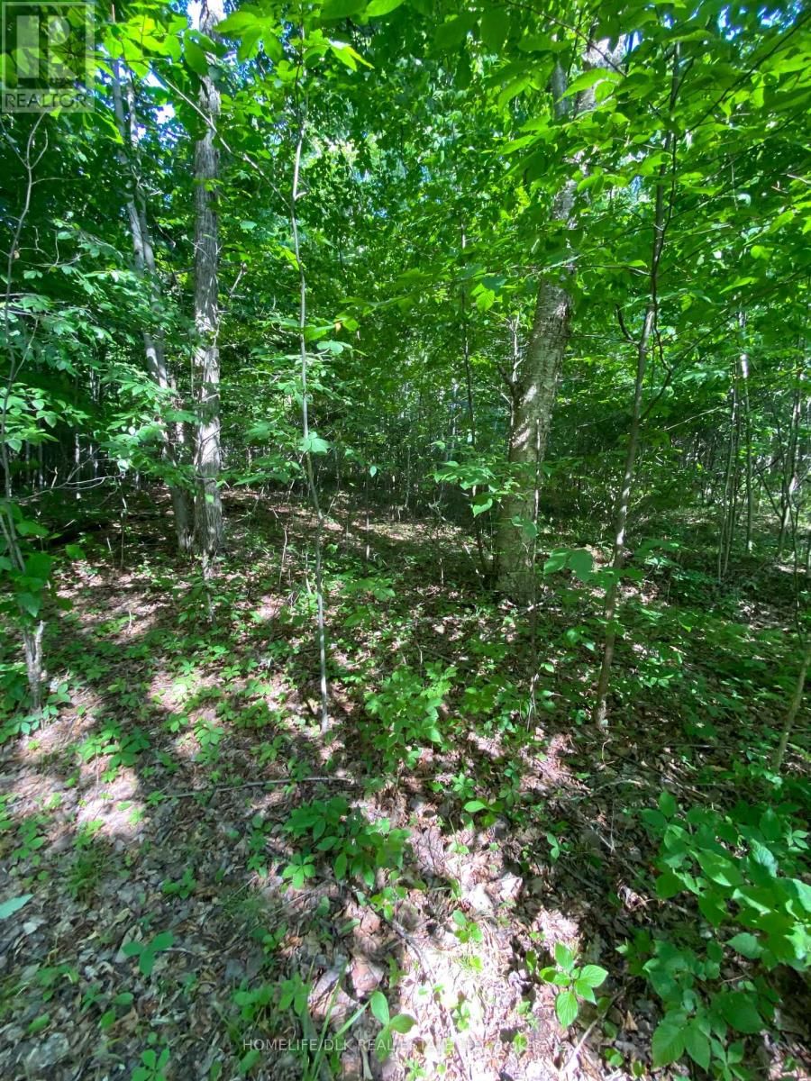 00 GROVETON ROAD SOUTH Image 17