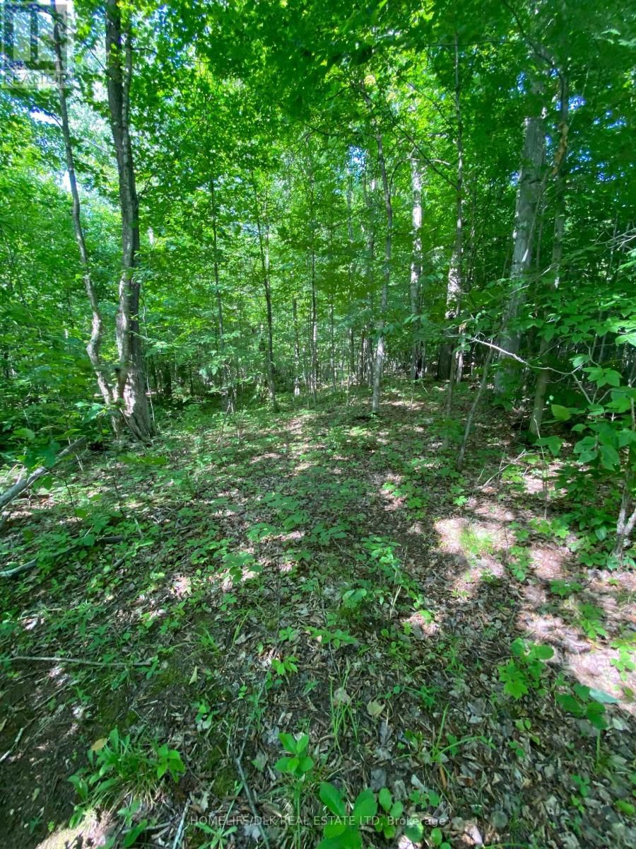 00 GROVETON ROAD SOUTH Image 18