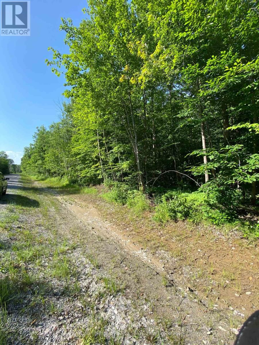 00 GROVETON ROAD SOUTH Image 19