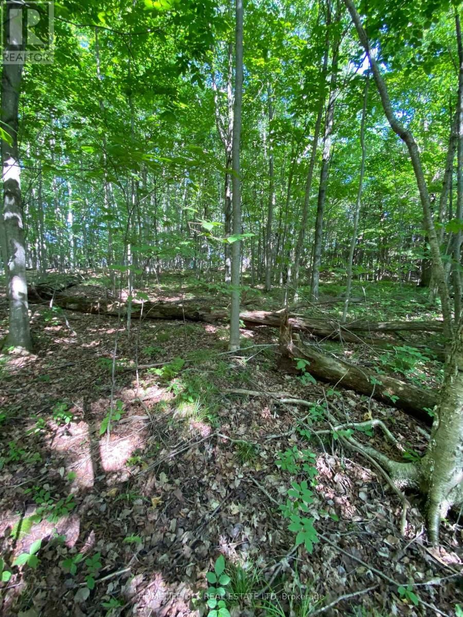 00 GROVETON ROAD SOUTH Image 20