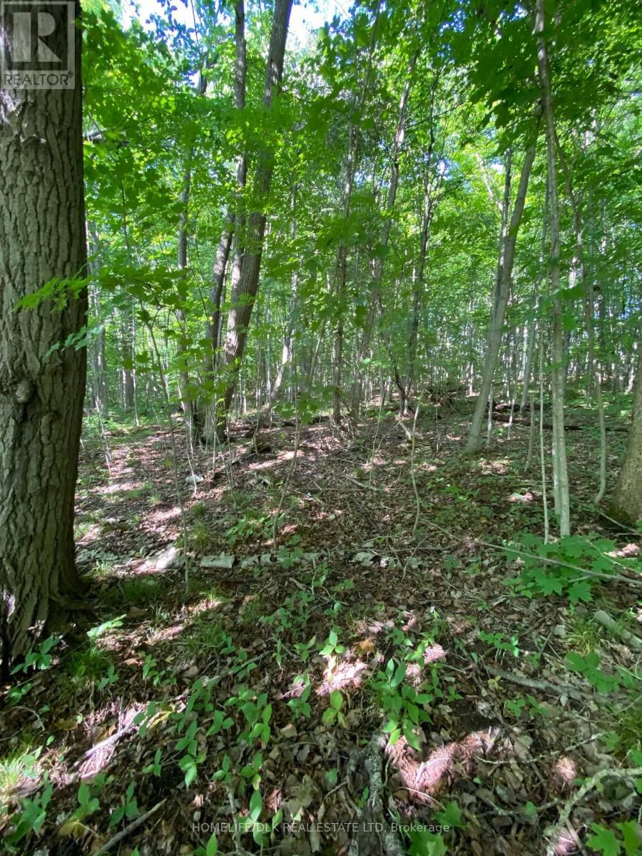 00 GROVETON ROAD SOUTH Image 22