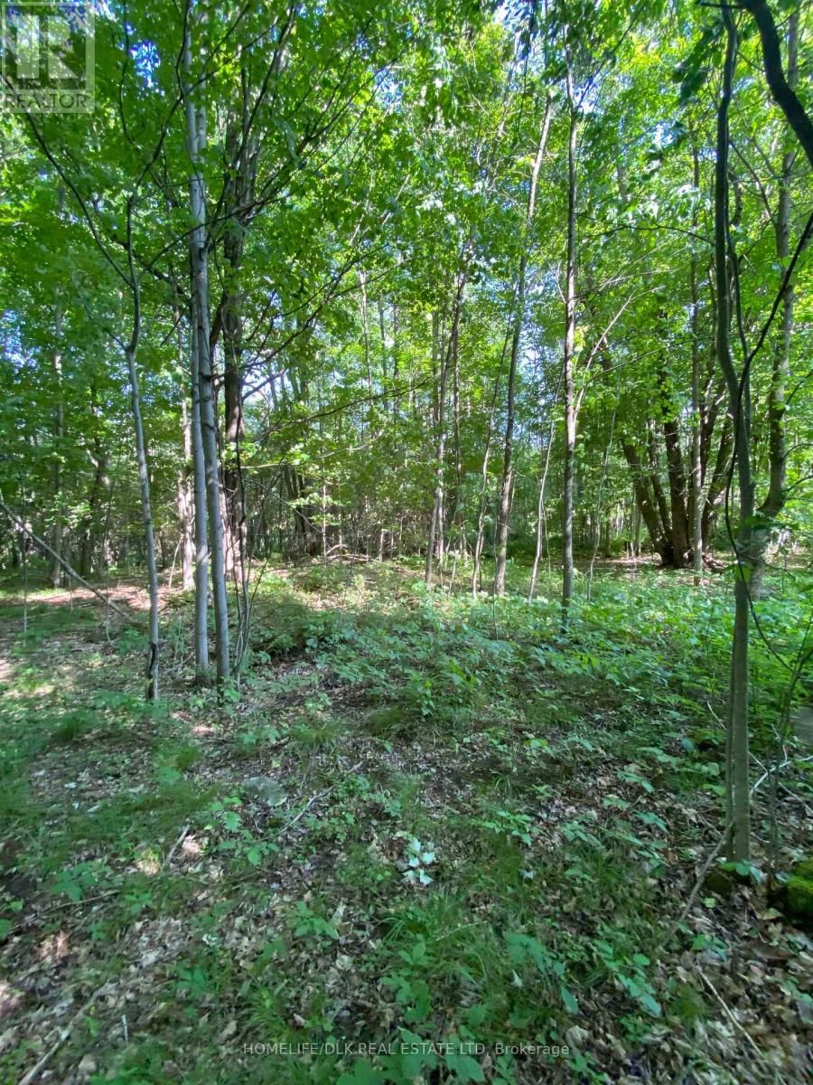 00 GROVETON ROAD SOUTH Image 3