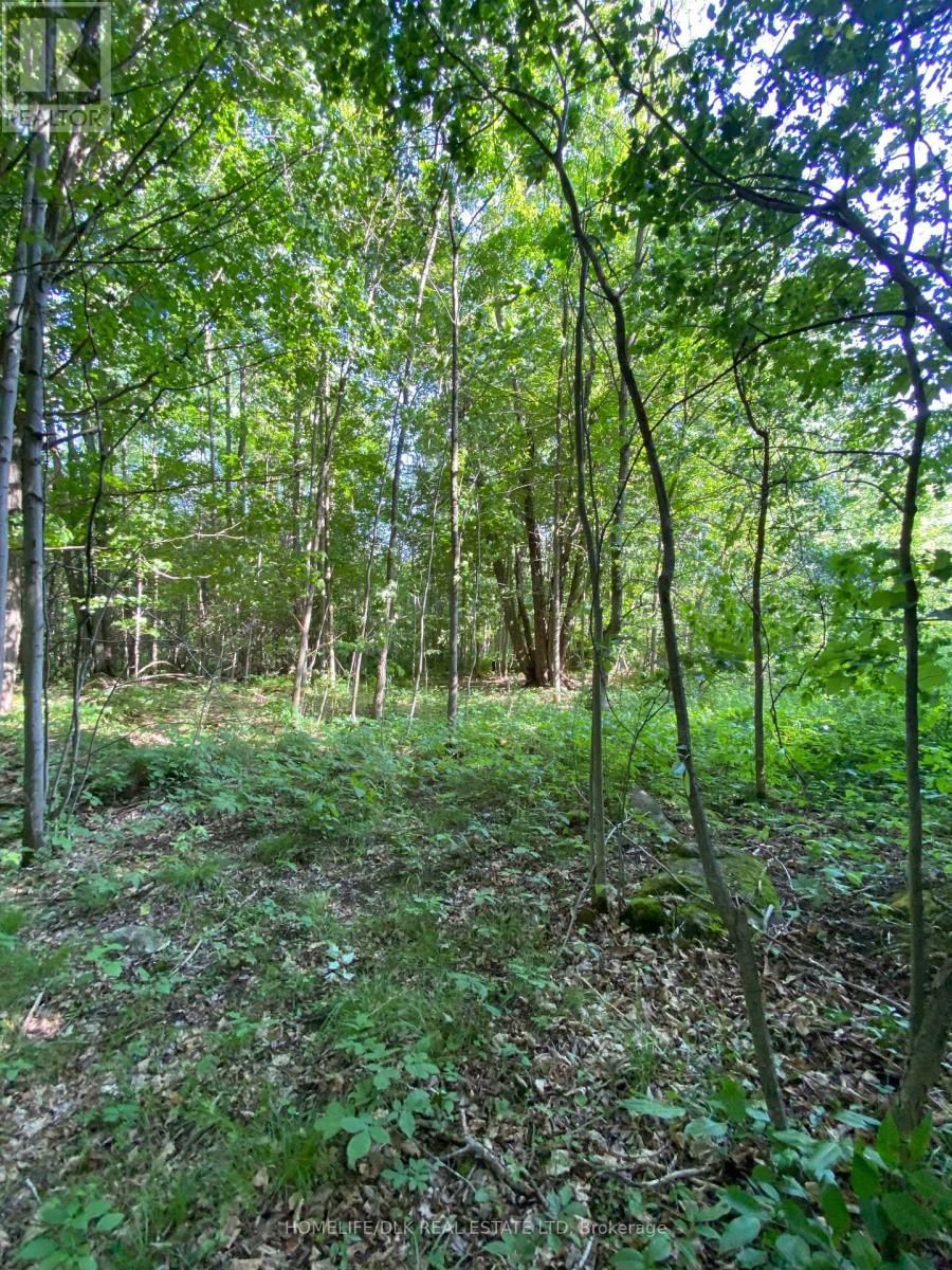 00 GROVETON ROAD SOUTH Image 4