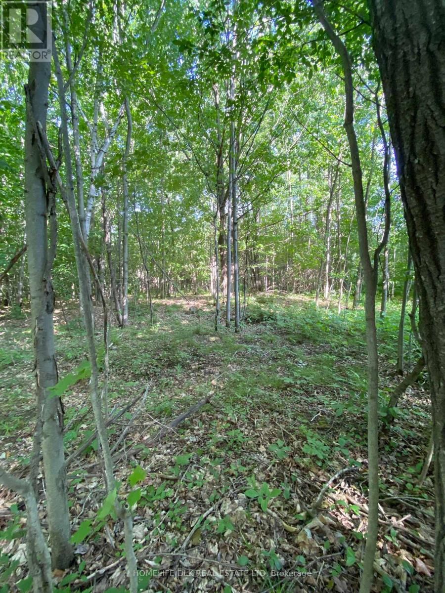 00 GROVETON ROAD SOUTH Image 5