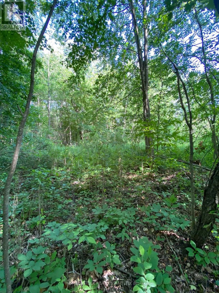 00 GROVETON ROAD SOUTH Image 6