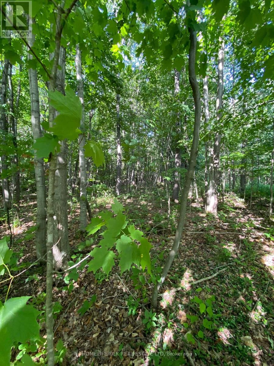 00 GROVETON ROAD SOUTH Image 7