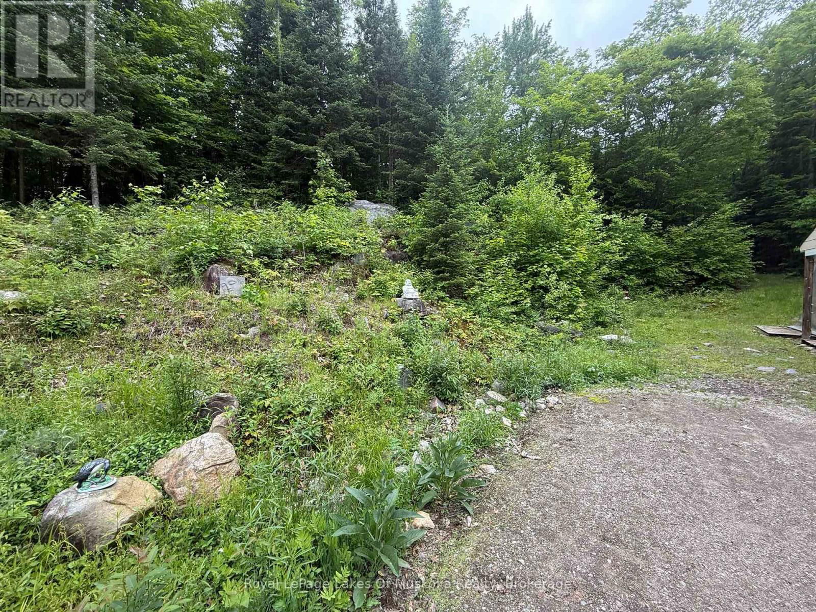 1118 STONEY ROAD Image 1