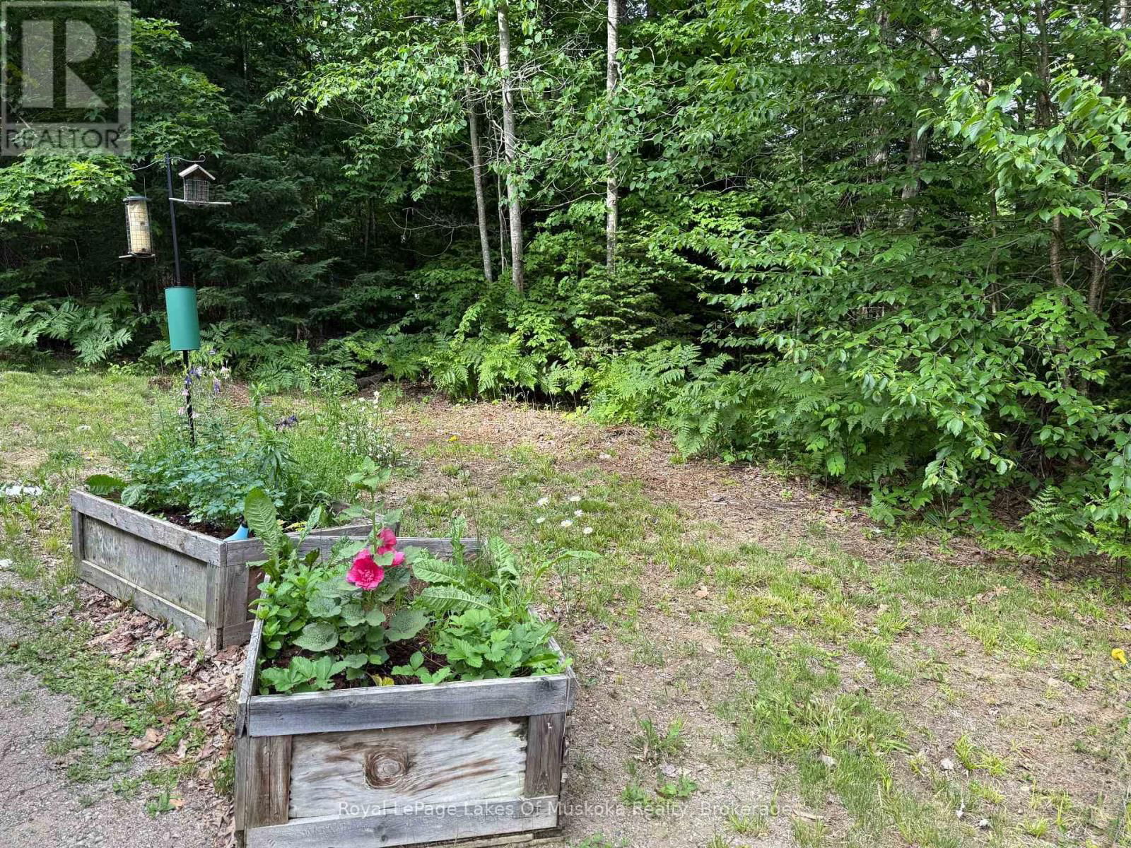 1118 STONEY ROAD Image 11