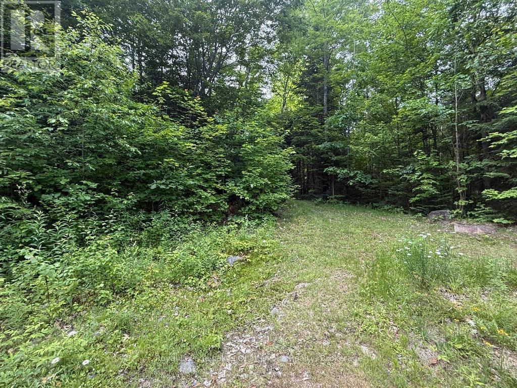 1118 STONEY ROAD Image 16