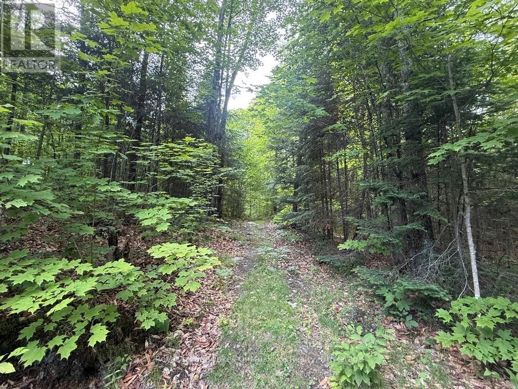 1118 STONEY ROAD Image 17