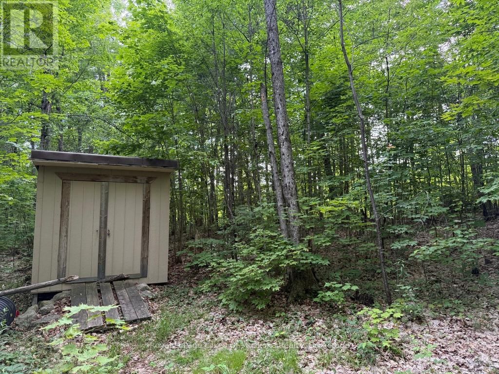 1118 STONEY ROAD Image 18