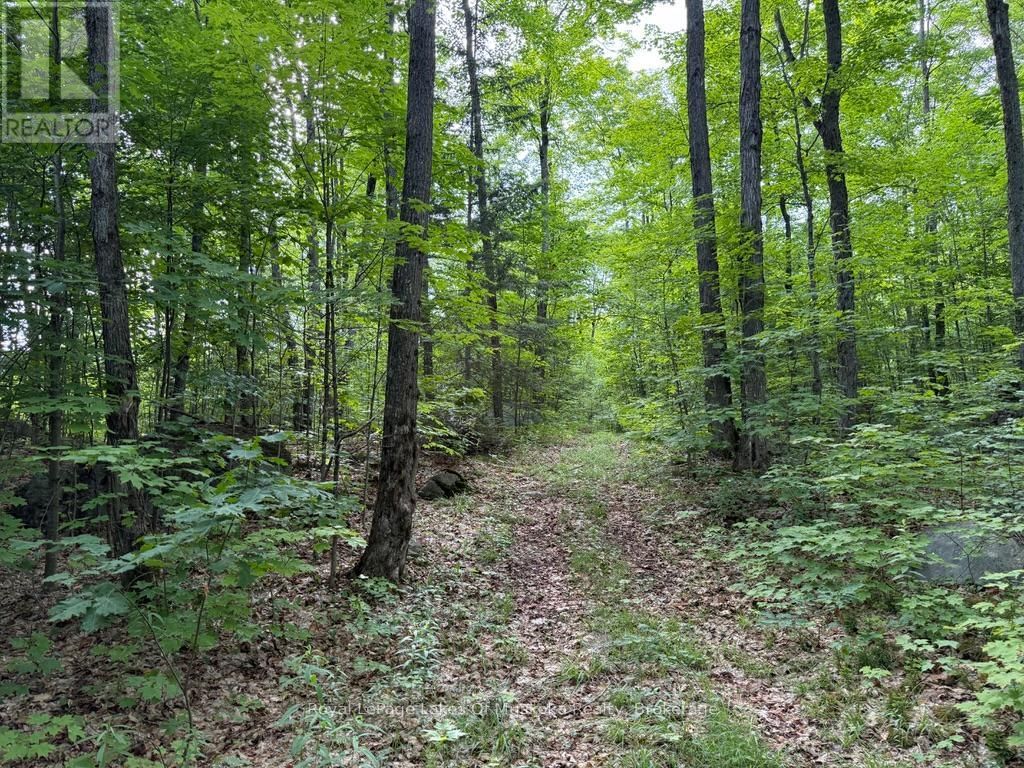 1118 STONEY ROAD Image 19