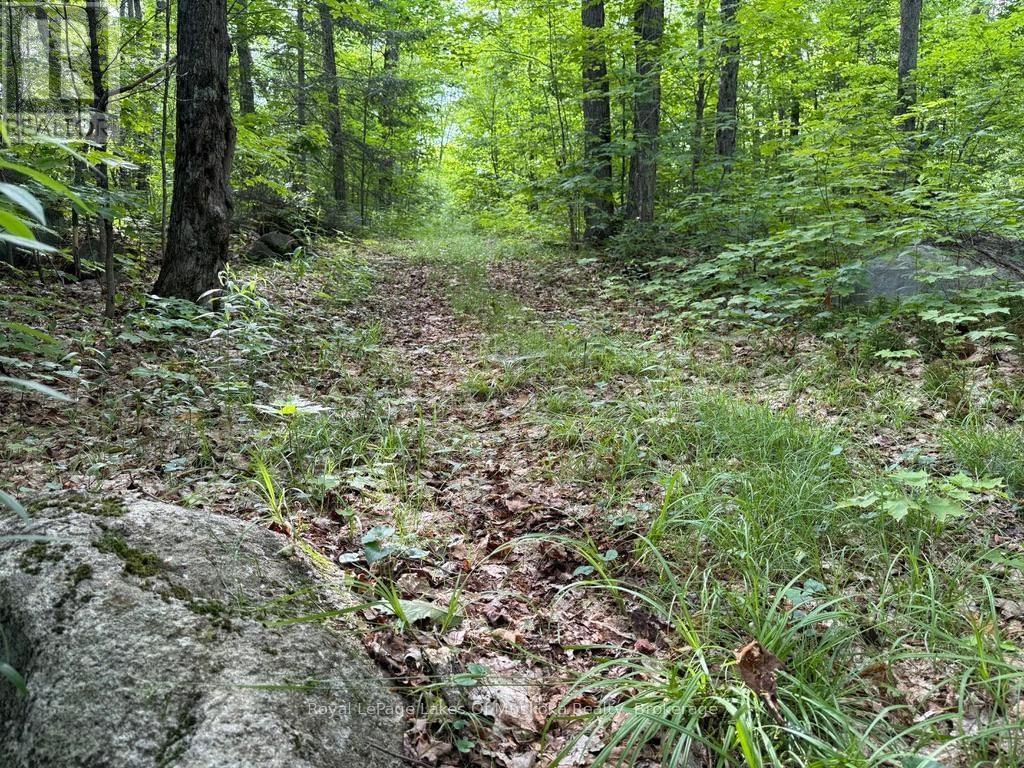 1118 STONEY ROAD Image 20