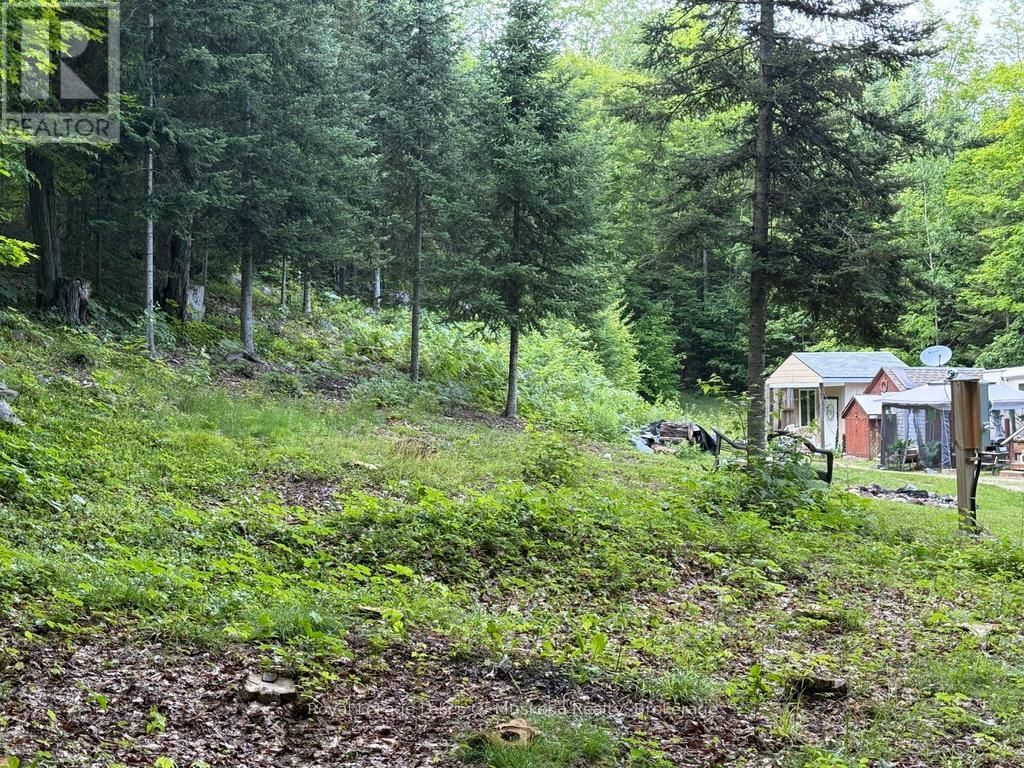 1118 STONEY ROAD Image 6