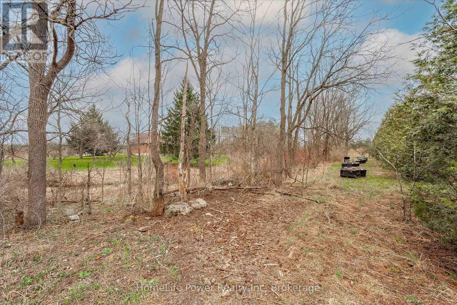 4080 VICTORIA ROAD SOUTH Image 38