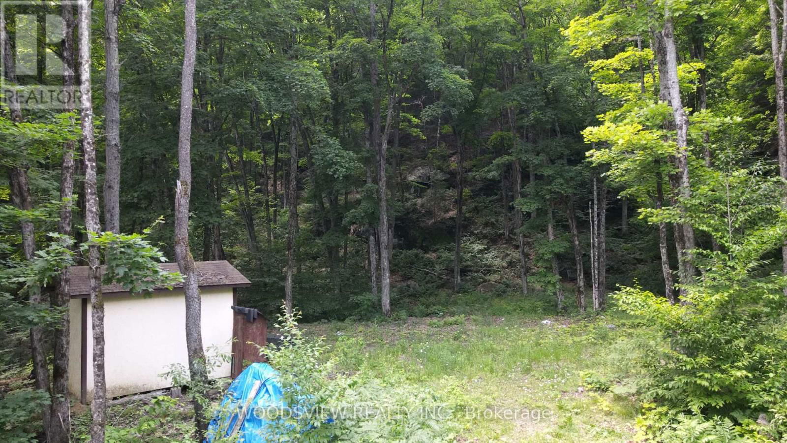 1610 WILLIAMSPORT ROAD NORTH Image 7
