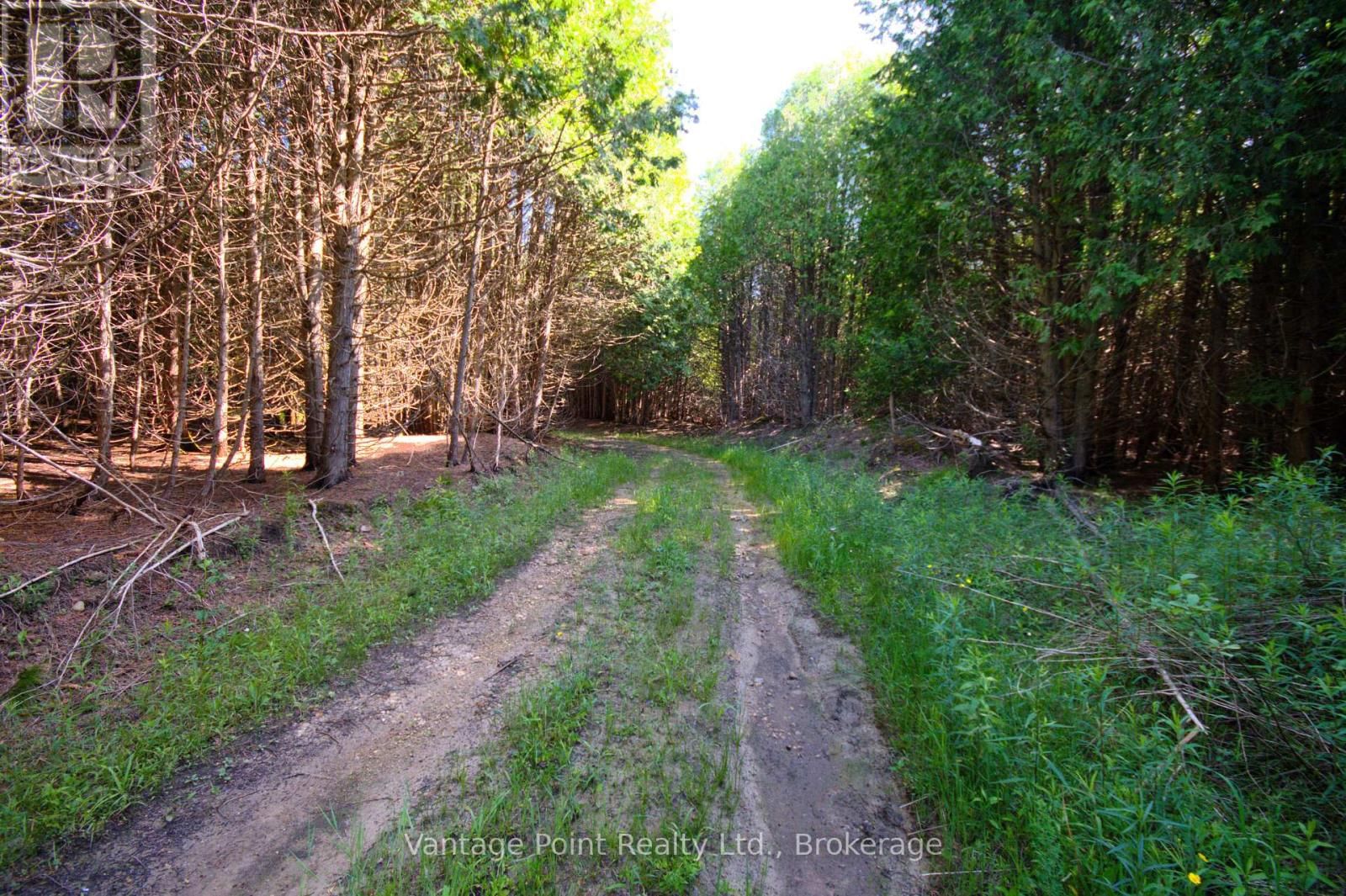 775381 10 HIGHWAY NORTH Image 19