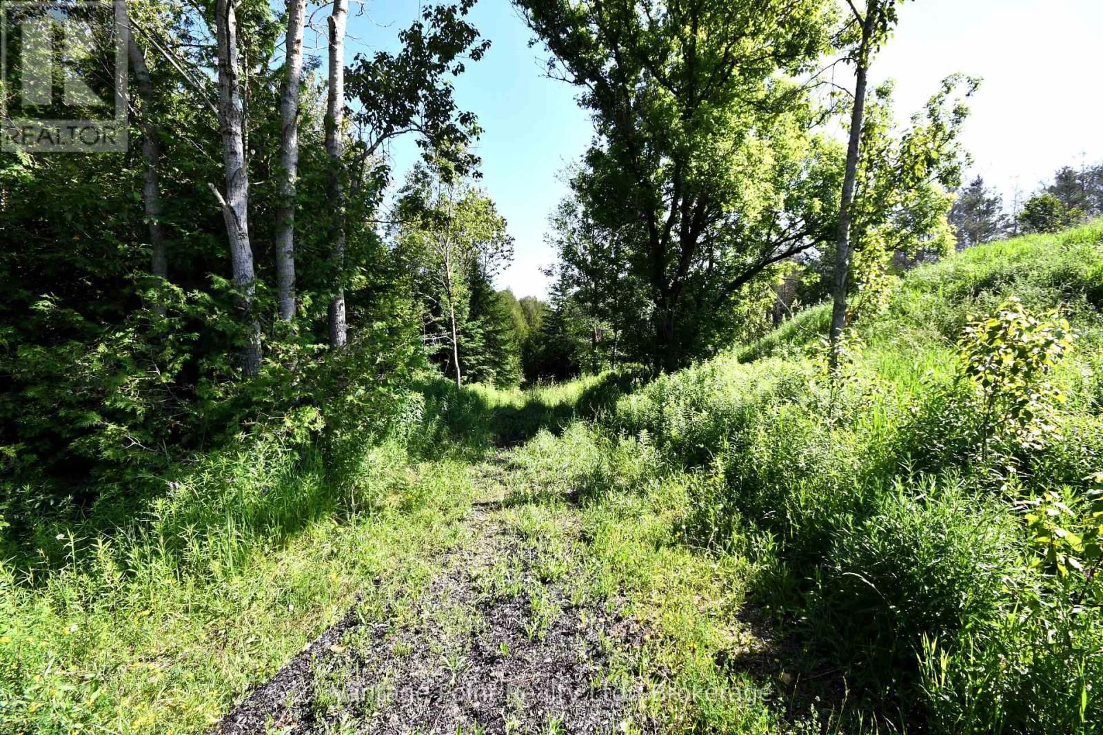 775381 10 HIGHWAY NORTH Image 24