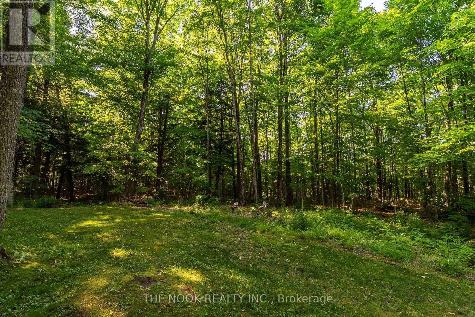 12482 HIGHWAY 28 ROAD Image 26