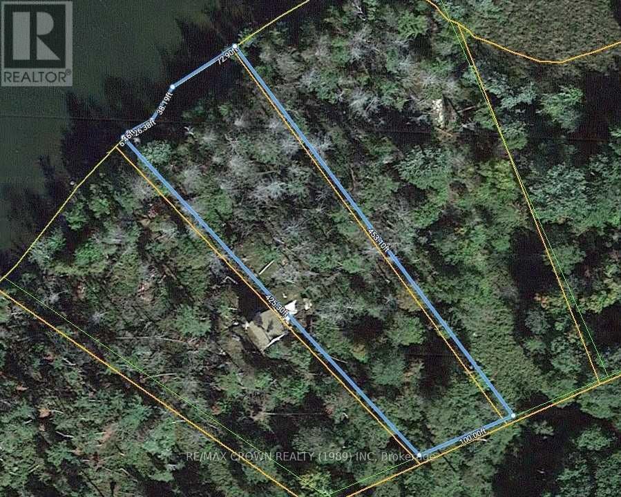 Primary Property View