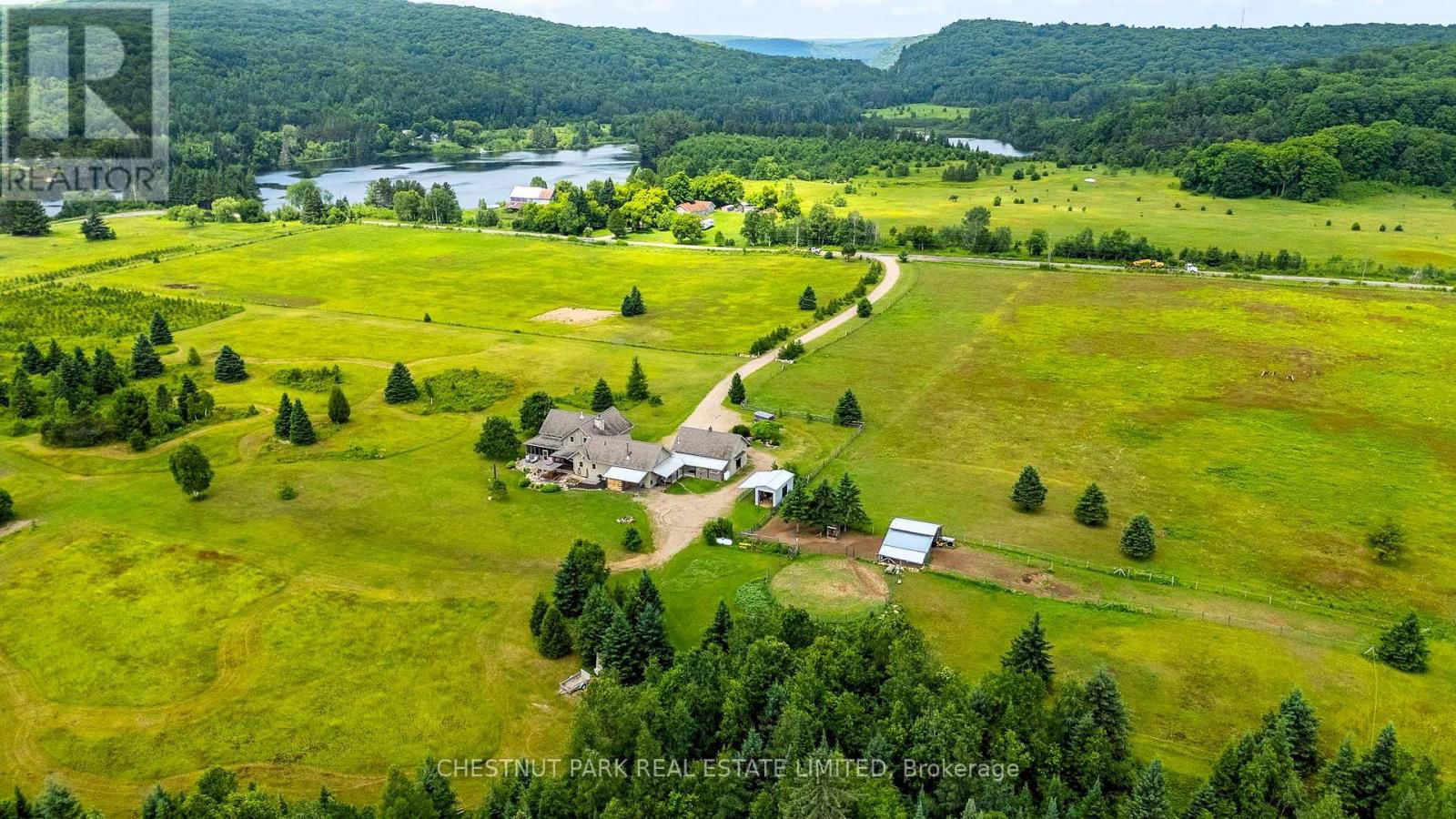 Primary Property View