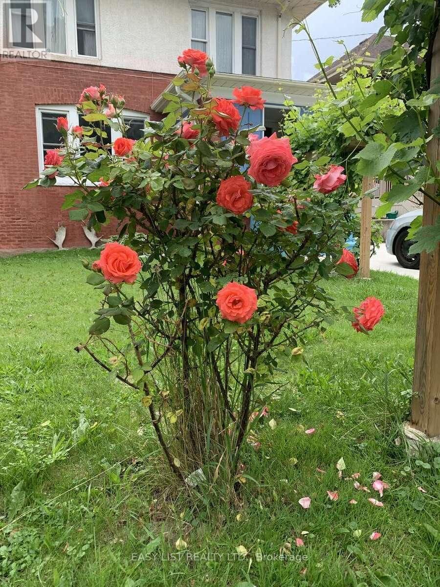 4322 BAMPFIELD STREET Image 46