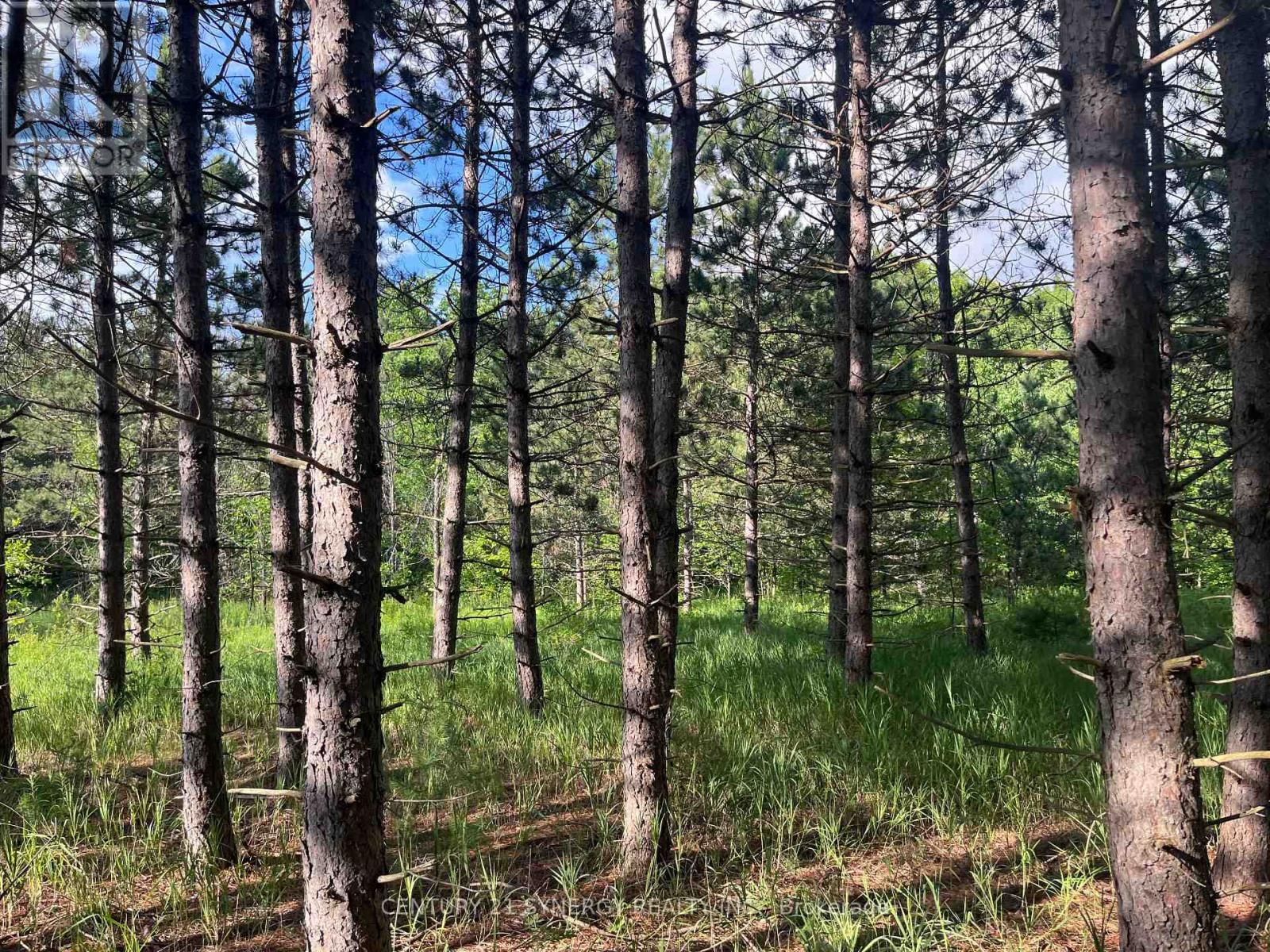 00 RUSSETT DRIVE Image 23