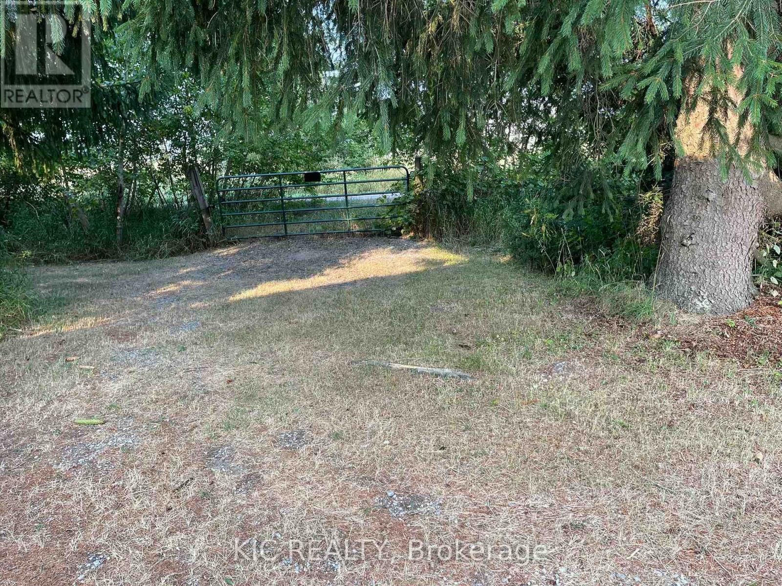 2183 ASPHODEL 5 LINE Image 4