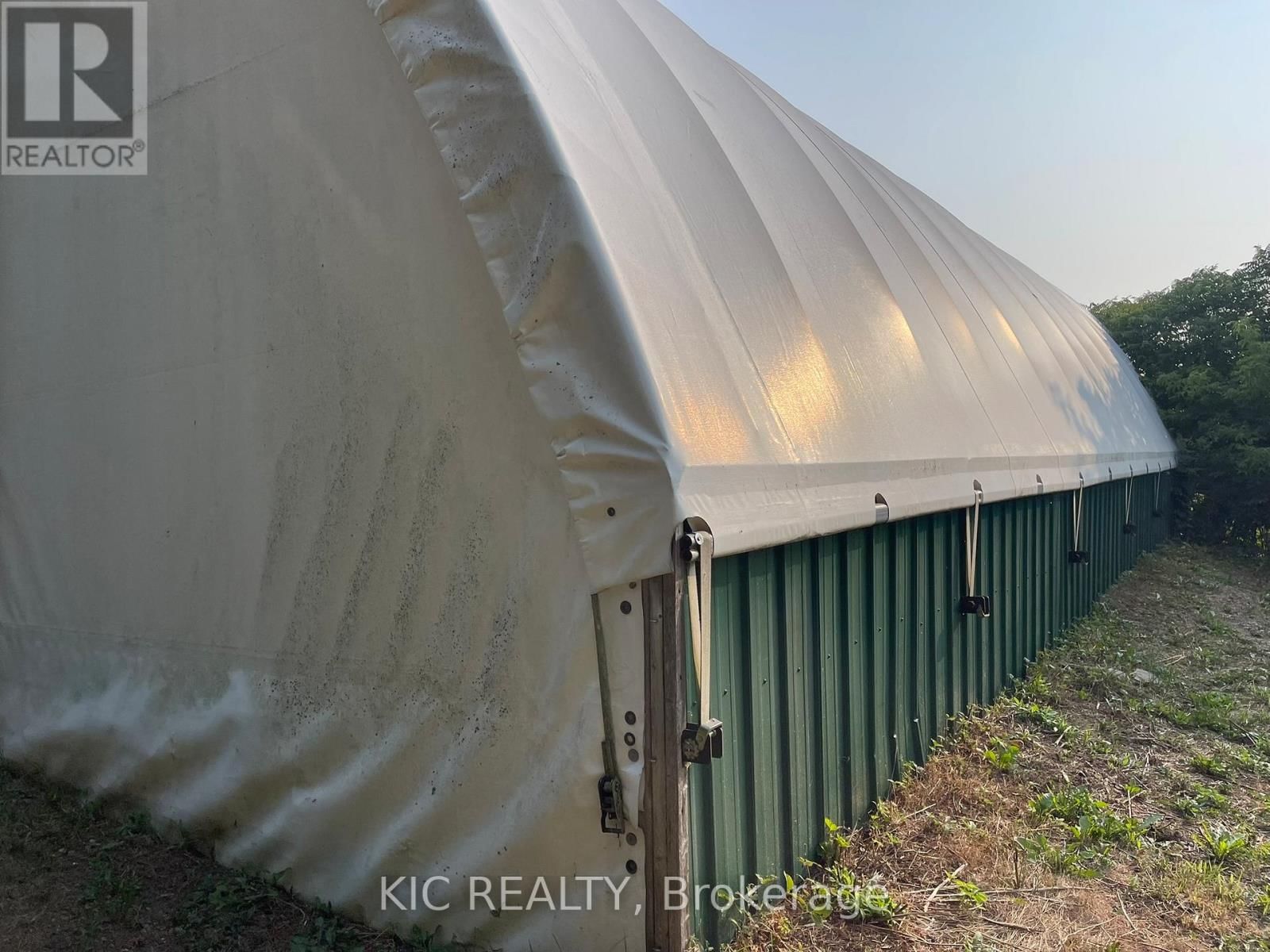 2183 ASPHODEL 5 LINE Image 6