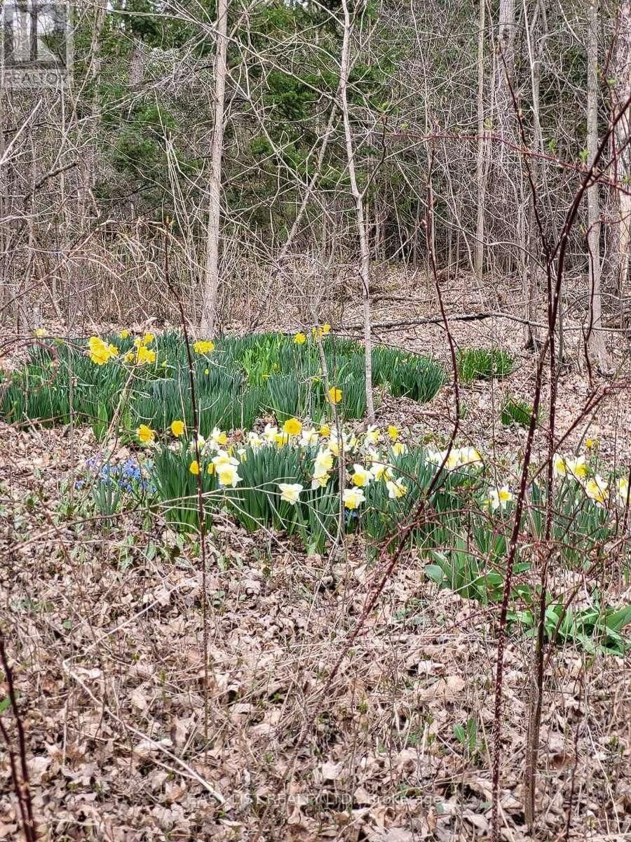 3224 COUNTY ROAD 27 Image 48