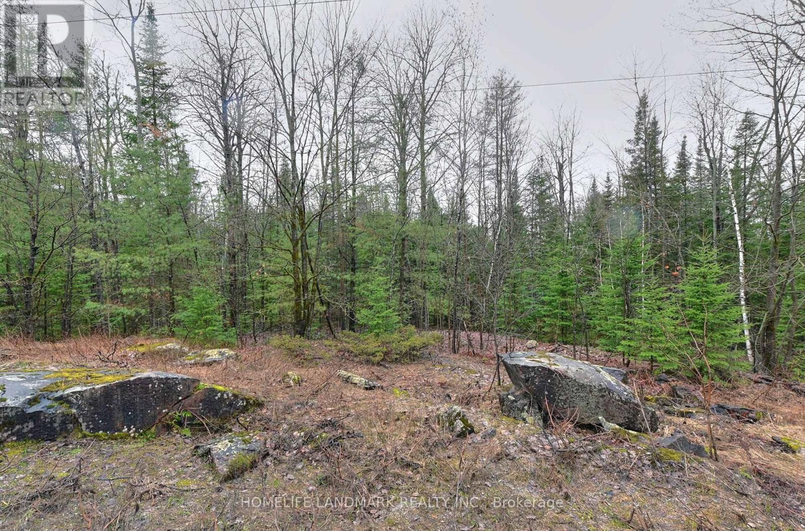 26-28 CHISHOLM TRAIL Image 13