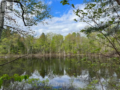 Commercial for Sale in Ontario