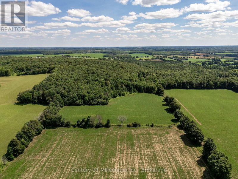 Image #1 of Business for Sale at Irish Lake, Grey Highlands, Ontario