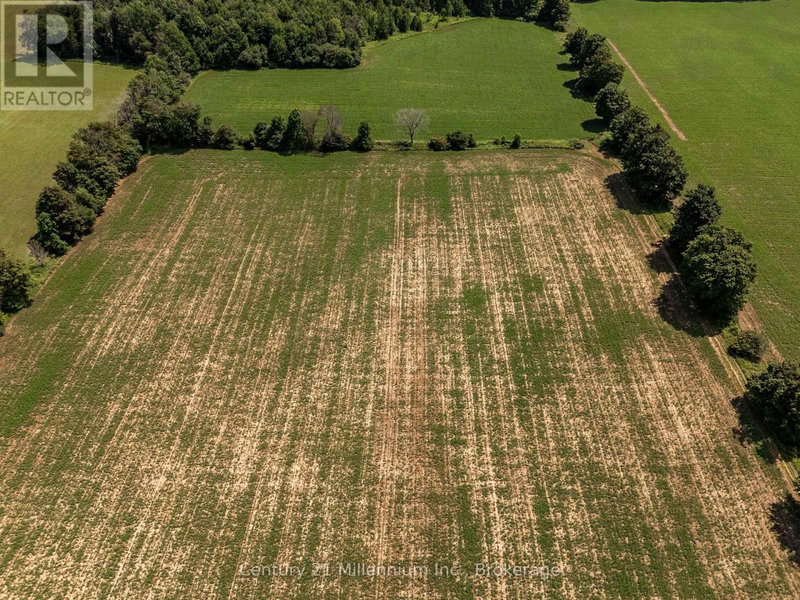 Image #1 of Business for Sale at Irish Lake, Grey Highlands, Ontario