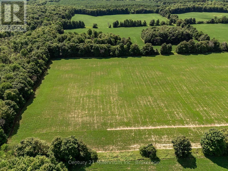 Image #1 of Business for Sale at Irish Lake, Grey Highlands, Ontario