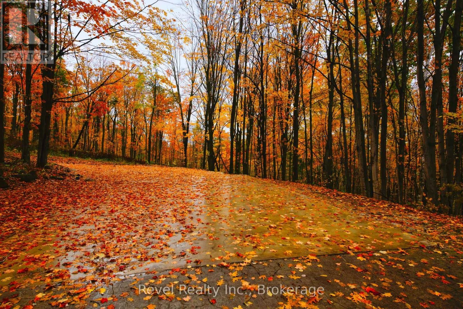 609669 12TH SIDEROAD Image 4