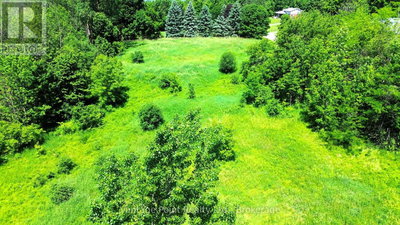 Image #1 of Commercial for Sale at Alma, Chatsworth, Ontario